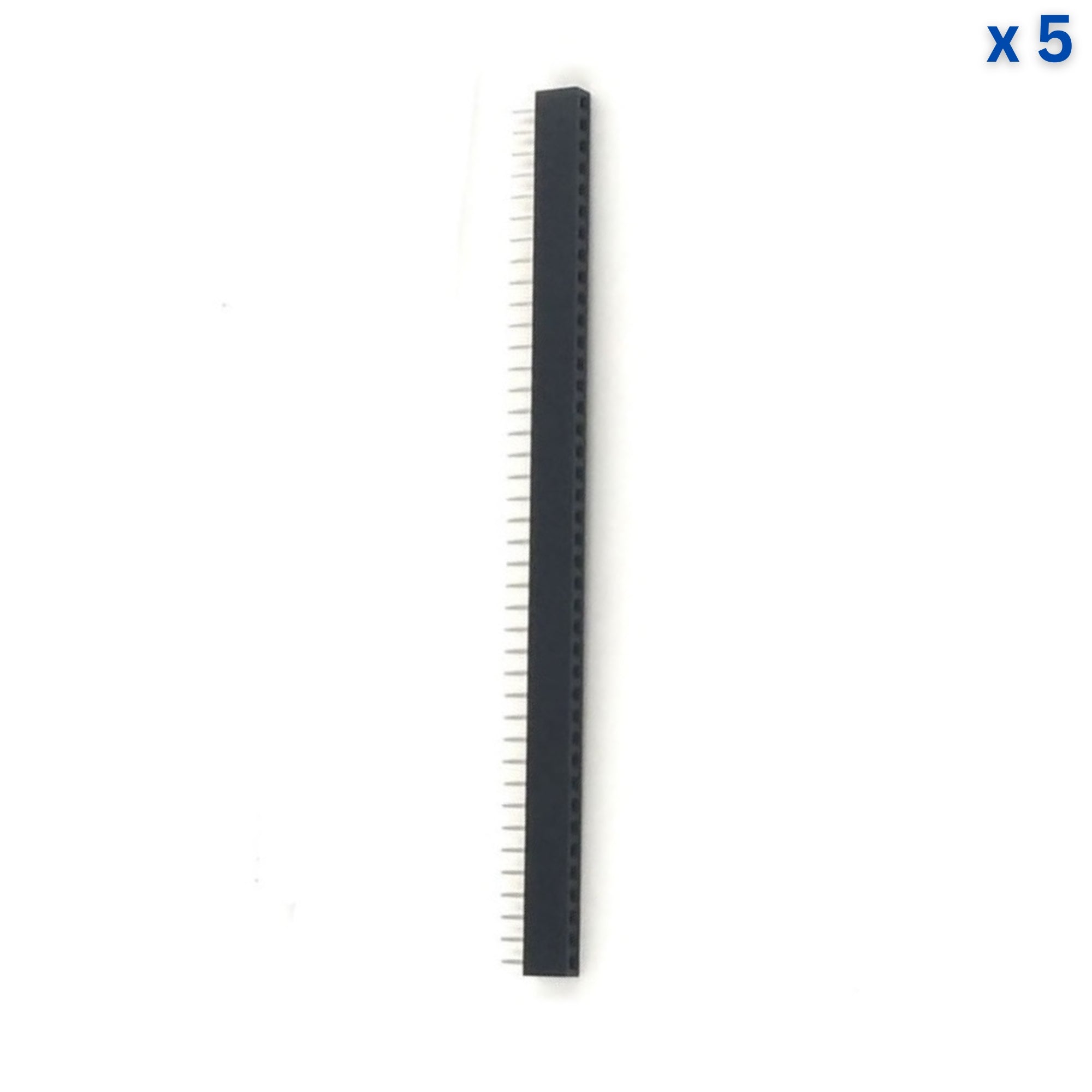 40x1 2mm Female Pin Header
