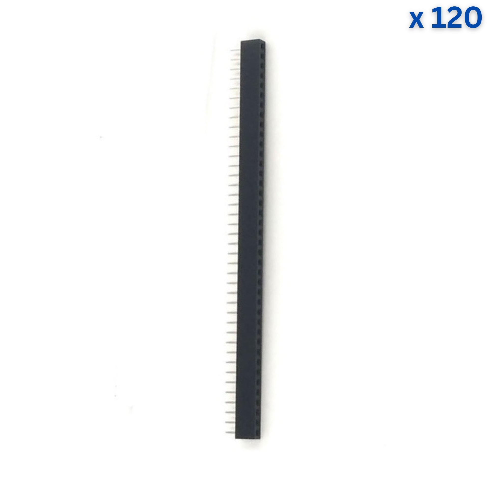 40x1 2mm Female Pin Header