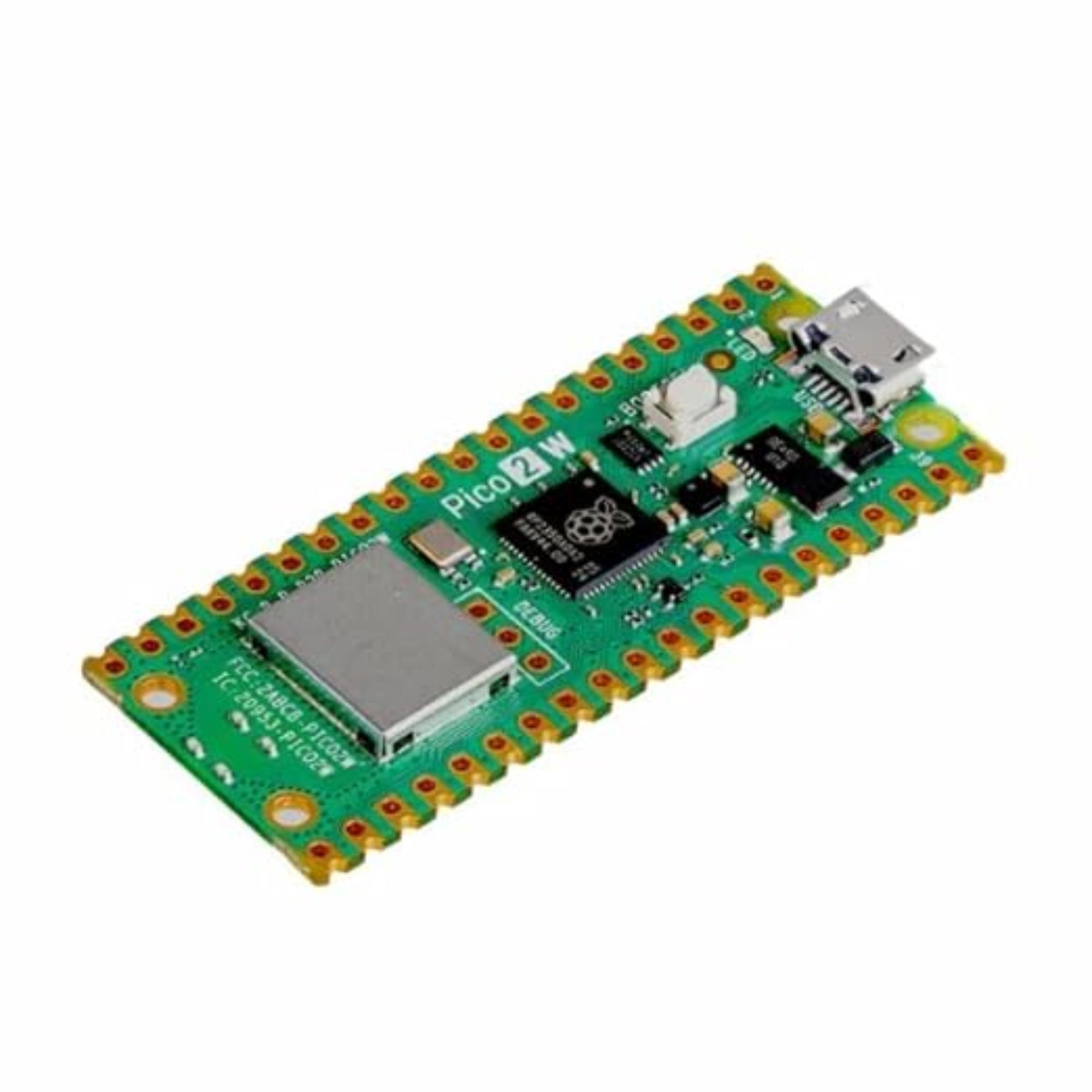 Raspberry Pi Pico 2W