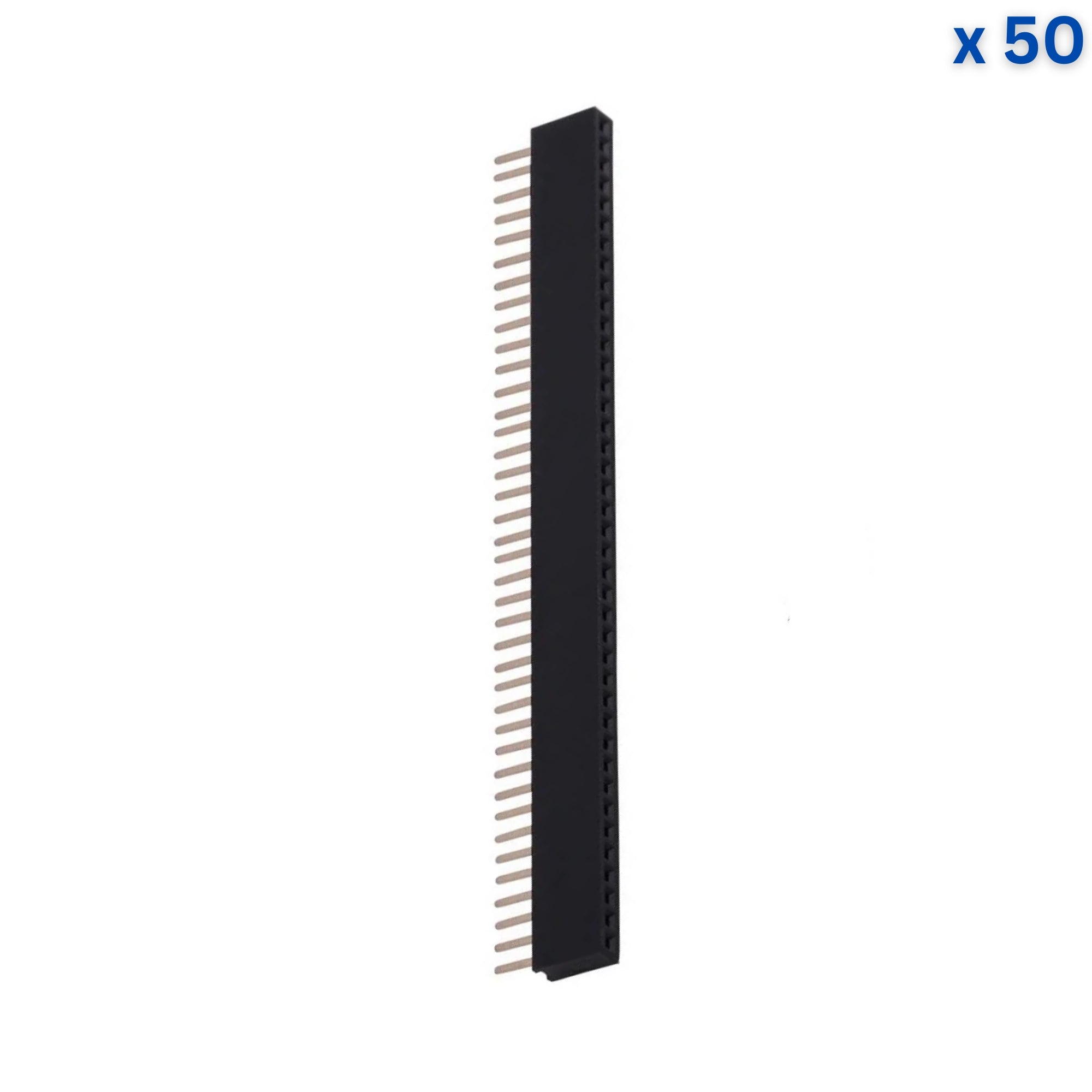 40x1 23mm 2.54mm Pitch Female Pin Header