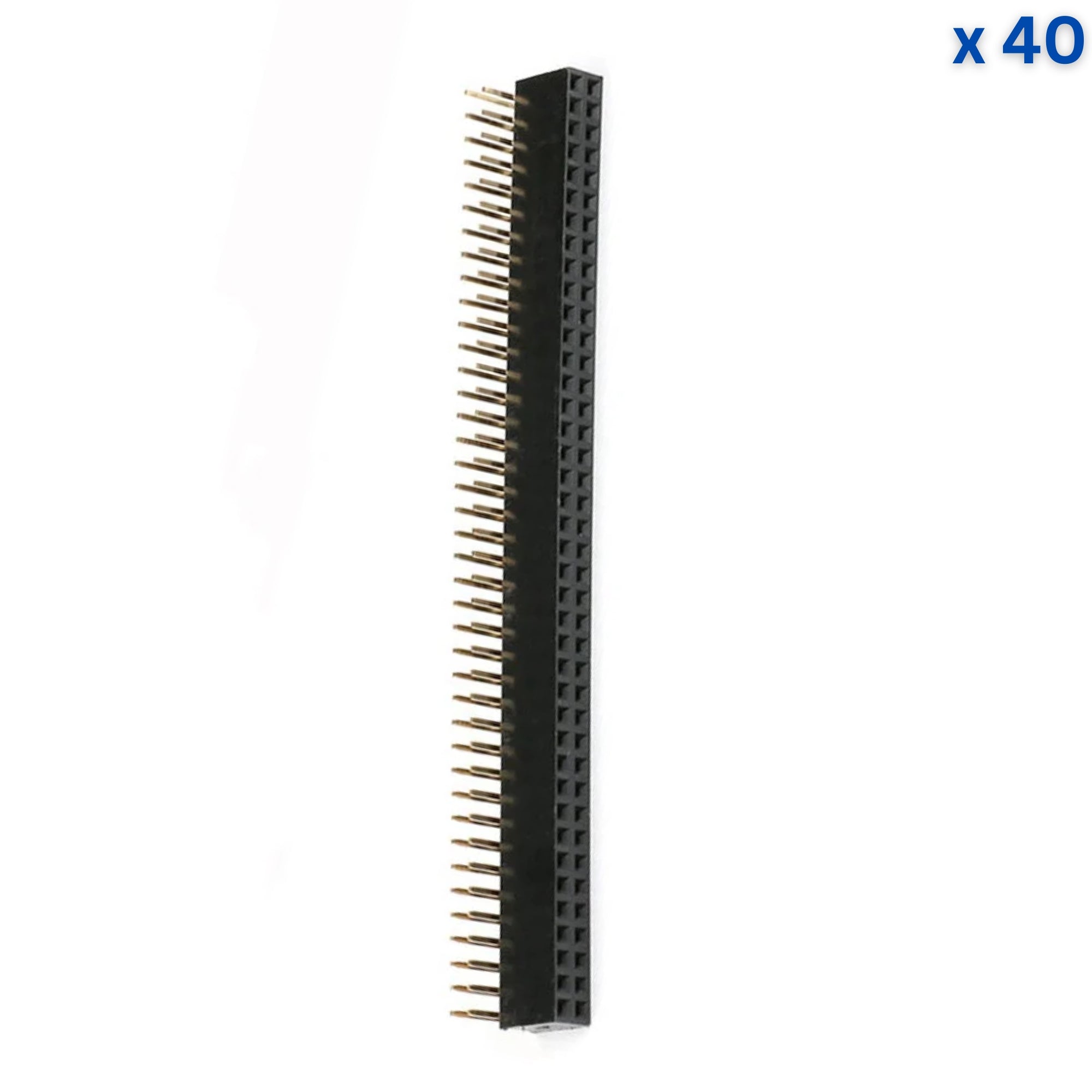 40x2 10mm 2.54mm Pitch Right Angle Female Pin Header