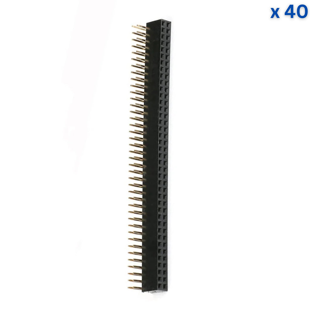 40x2 10mm 2.54mm Pitch Right Angle Female Pin Header