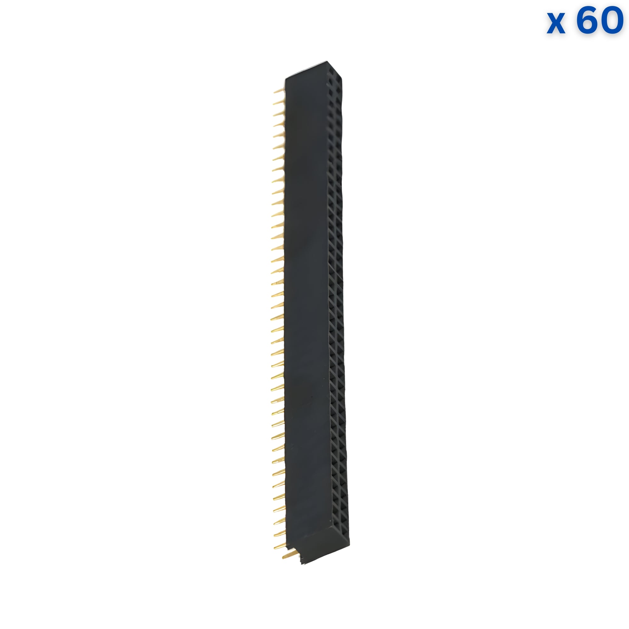 40x2 2mm Female Pin Header