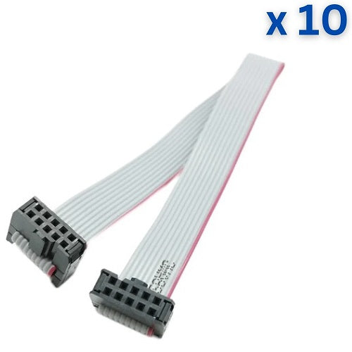 10 Pin FRC Female to Female - 30cm