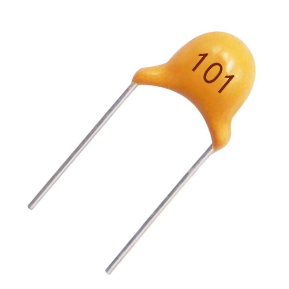 100pF (101) Multilayer(Mylar) Capacitor