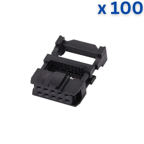 10 Pin FRC Female to Female - 30cm