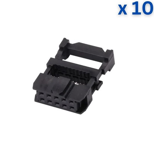 10 Pin FRC Female to Female - 30cm