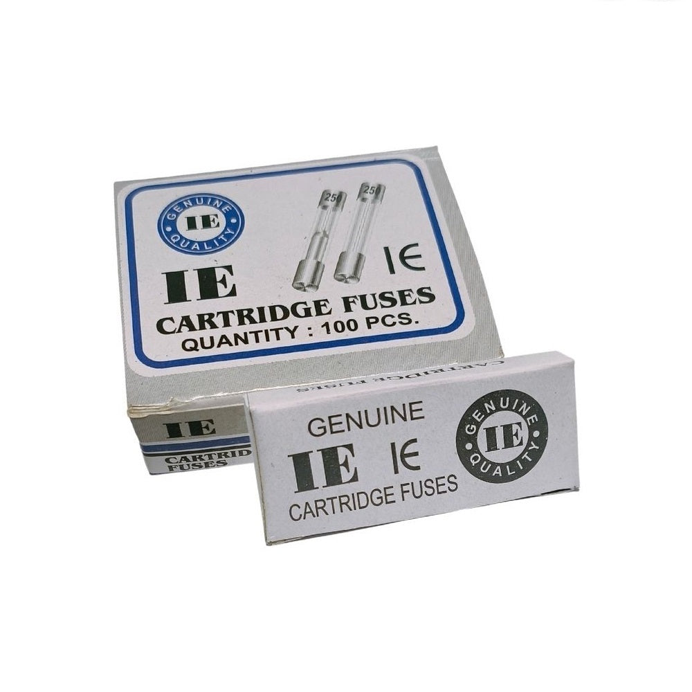 13A 5x20mm Small Fuse